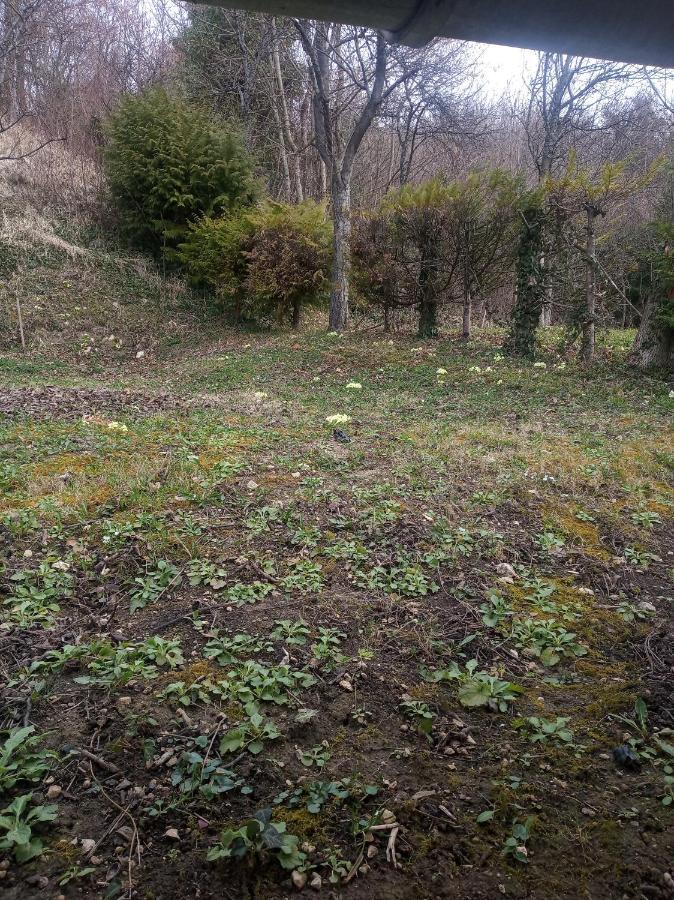 Holiday Home Nature Plesivica Jastrebarsko Bagian luar foto