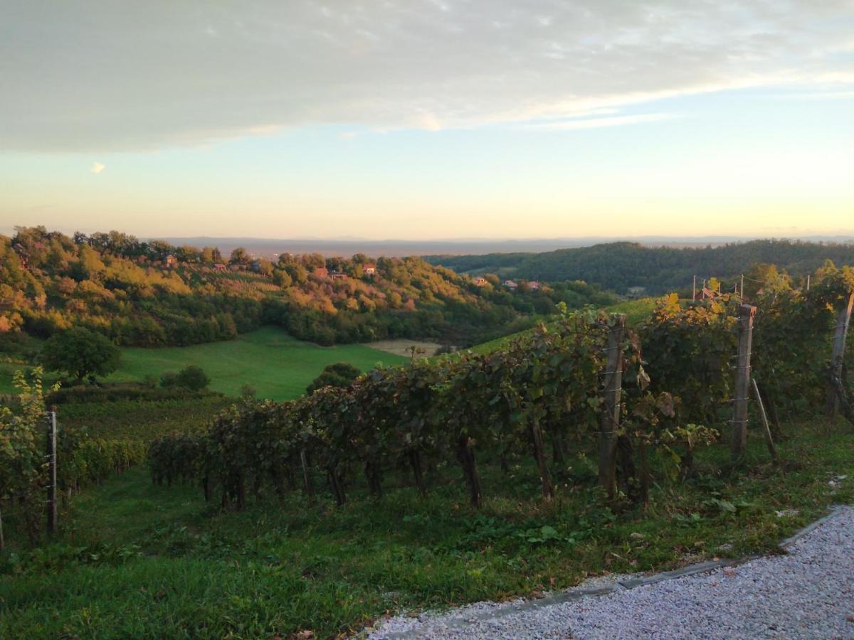Holiday Home Nature Plesivica Jastrebarsko Bagian luar foto